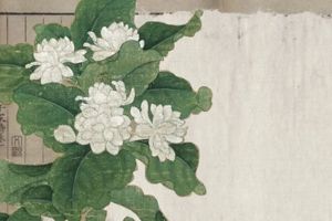 Culture Icon of Jiangsu｜The Charm of Intangible Cultural Heritage “Jasmine Flower”