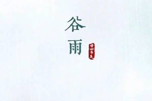UN Chinese Language Day × Grain Rain (Guyu) Solar Term