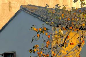 Autumn Equinox: Equal Day and Night, Harvest and Fulfillment