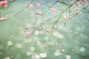 Start of Spring: Birth of the New