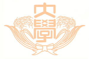 J2早稻田大学 现代语言下的金融与商业创新